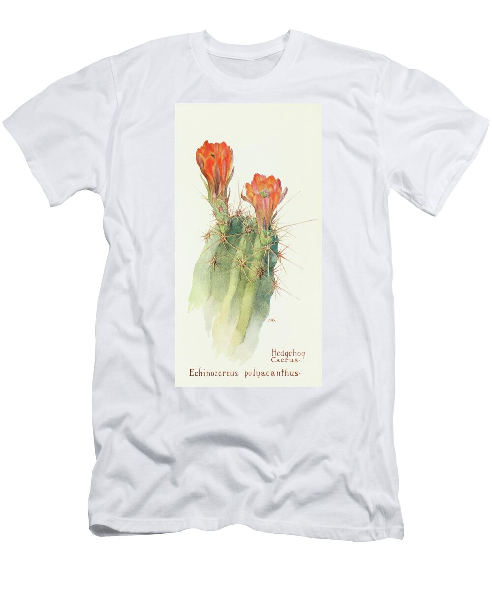 Hedgehog Cactus Margaret Armstrong T-Shirt