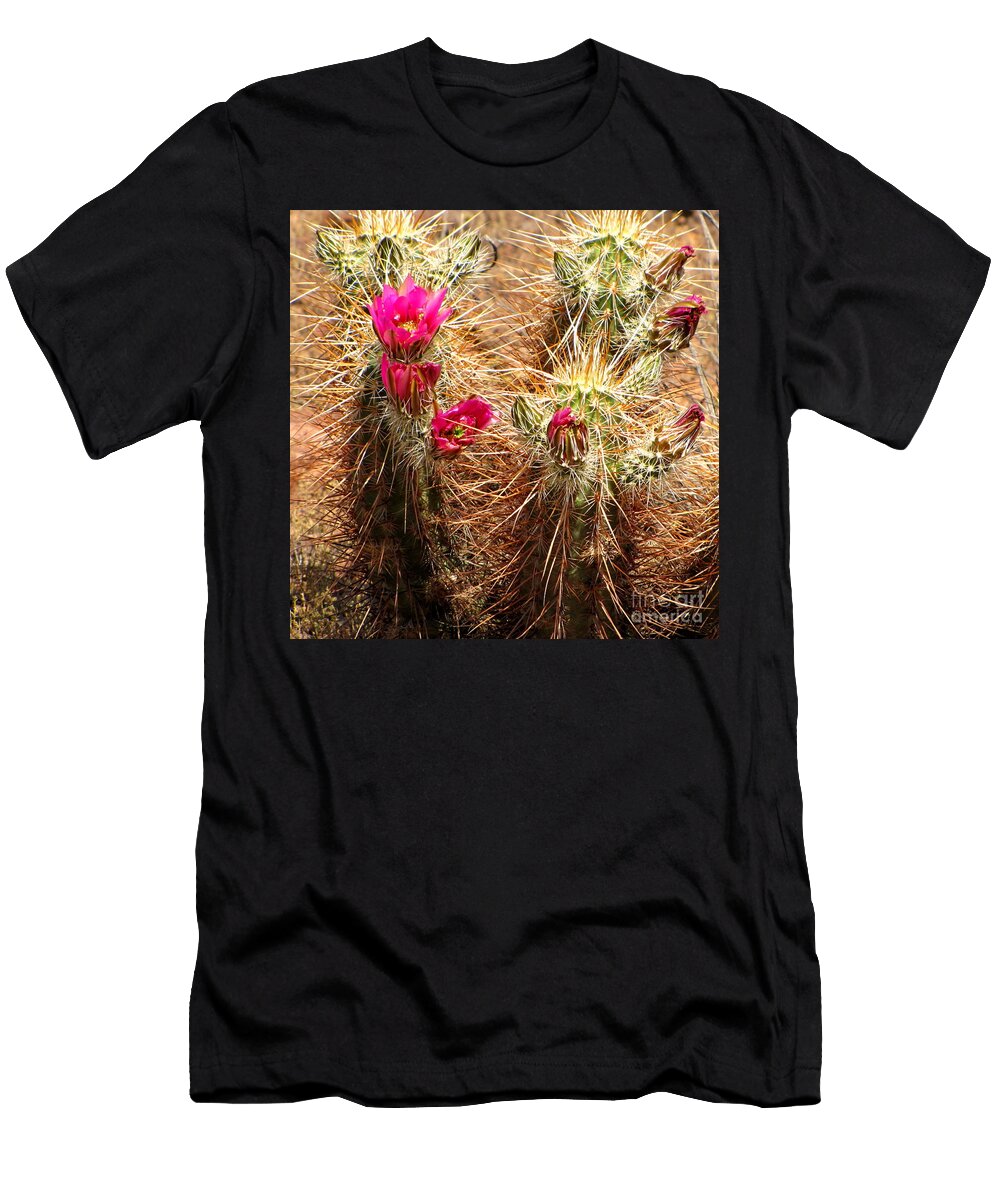 Hedgehog Cactus Marilyn Smith T-Shirt
