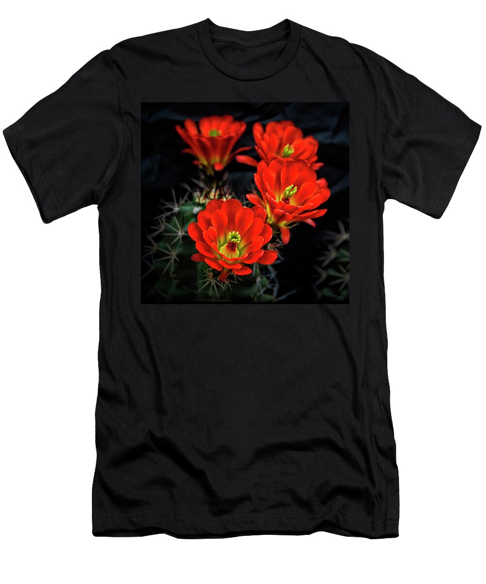 Hedgehog Cactus Saija Lehtonen T-Shirt