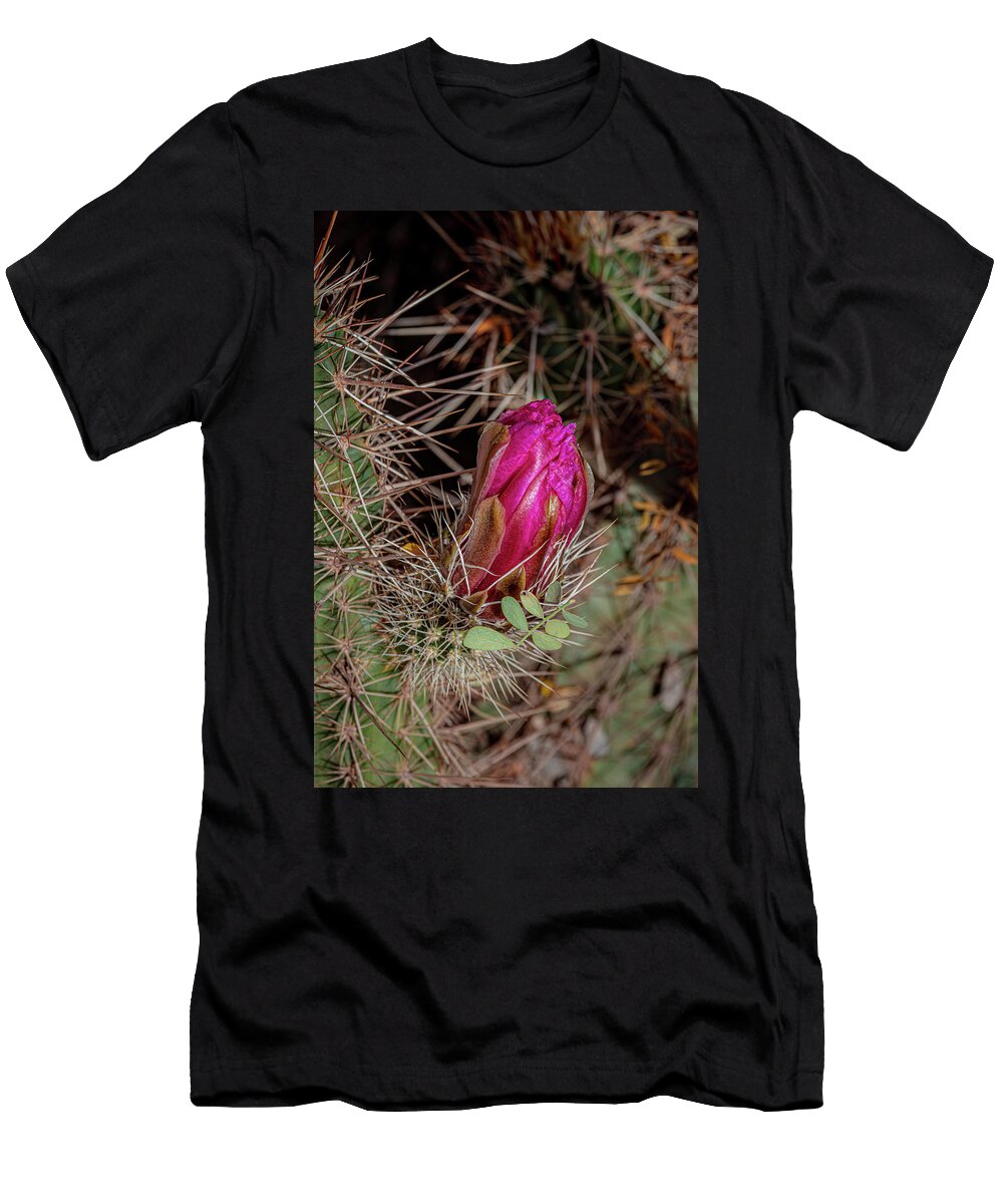Hedgehog Cactus Scarlett Bud Linda Unger T-Shirt