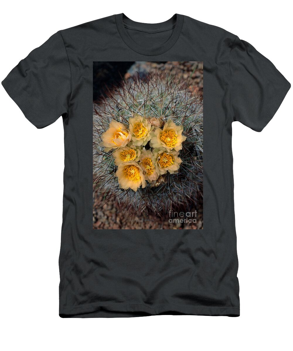 Hedgehog Cactus William H Mullins T-Shirt
