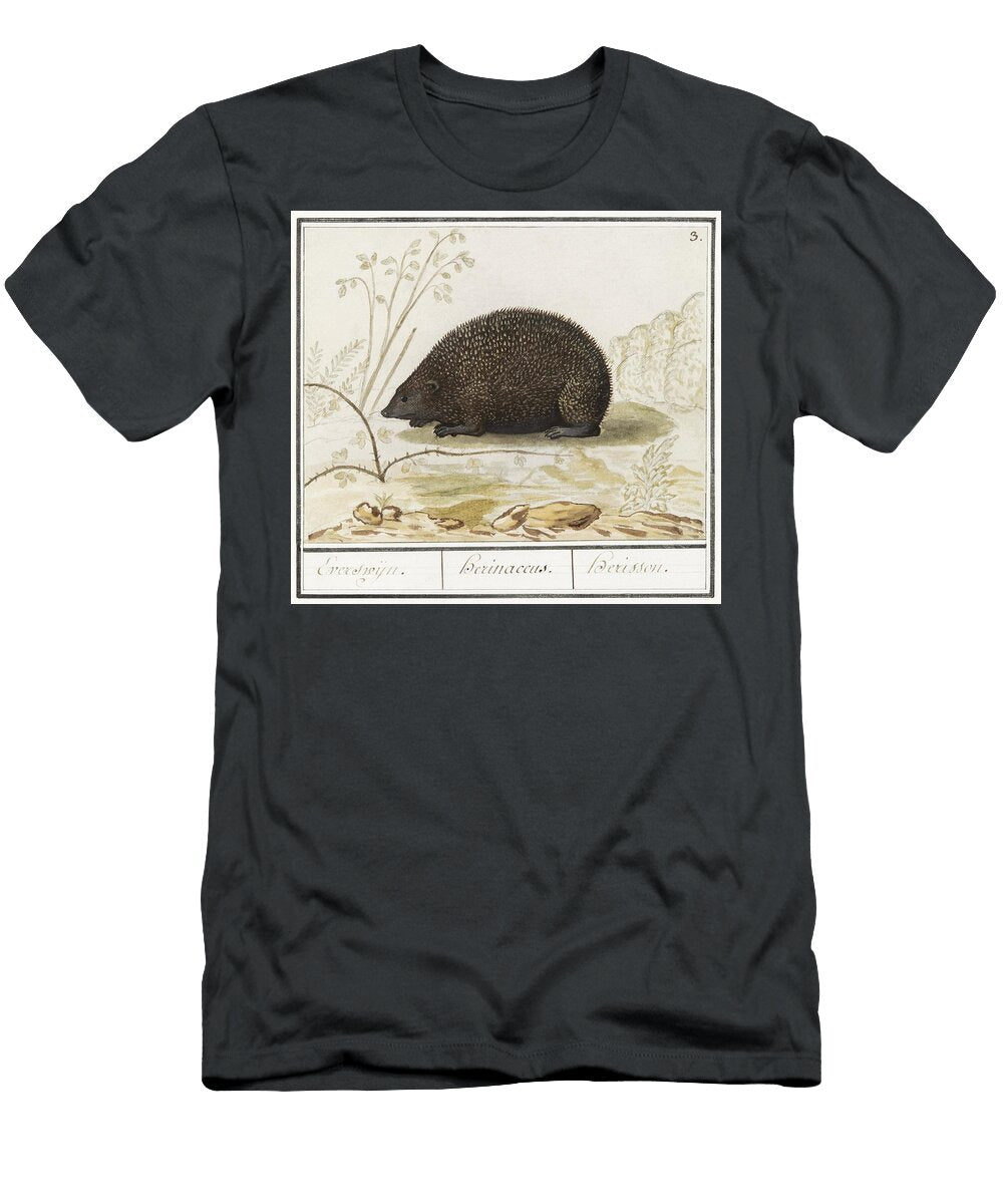 Hedgehog Erinaceus Europaeus 1596 1610 By Anselmus Botius De Boodt Les Classics T-Shirt