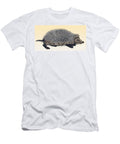 Hedgehog Historiae Animalium 16th Science Source T-Shirt