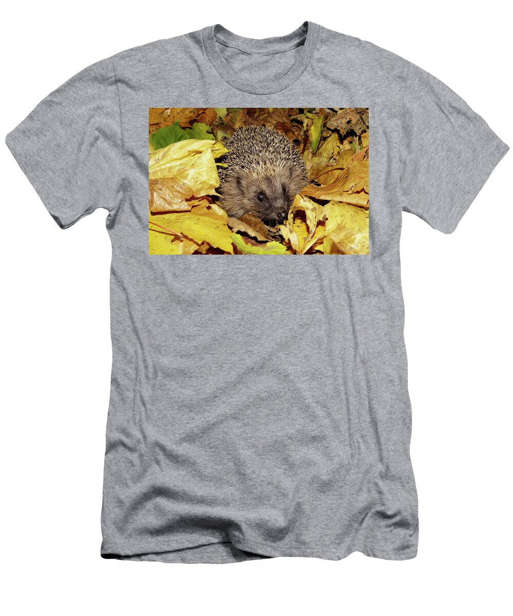 Hedgehog in Autumn Jc Studios T-Shirt
