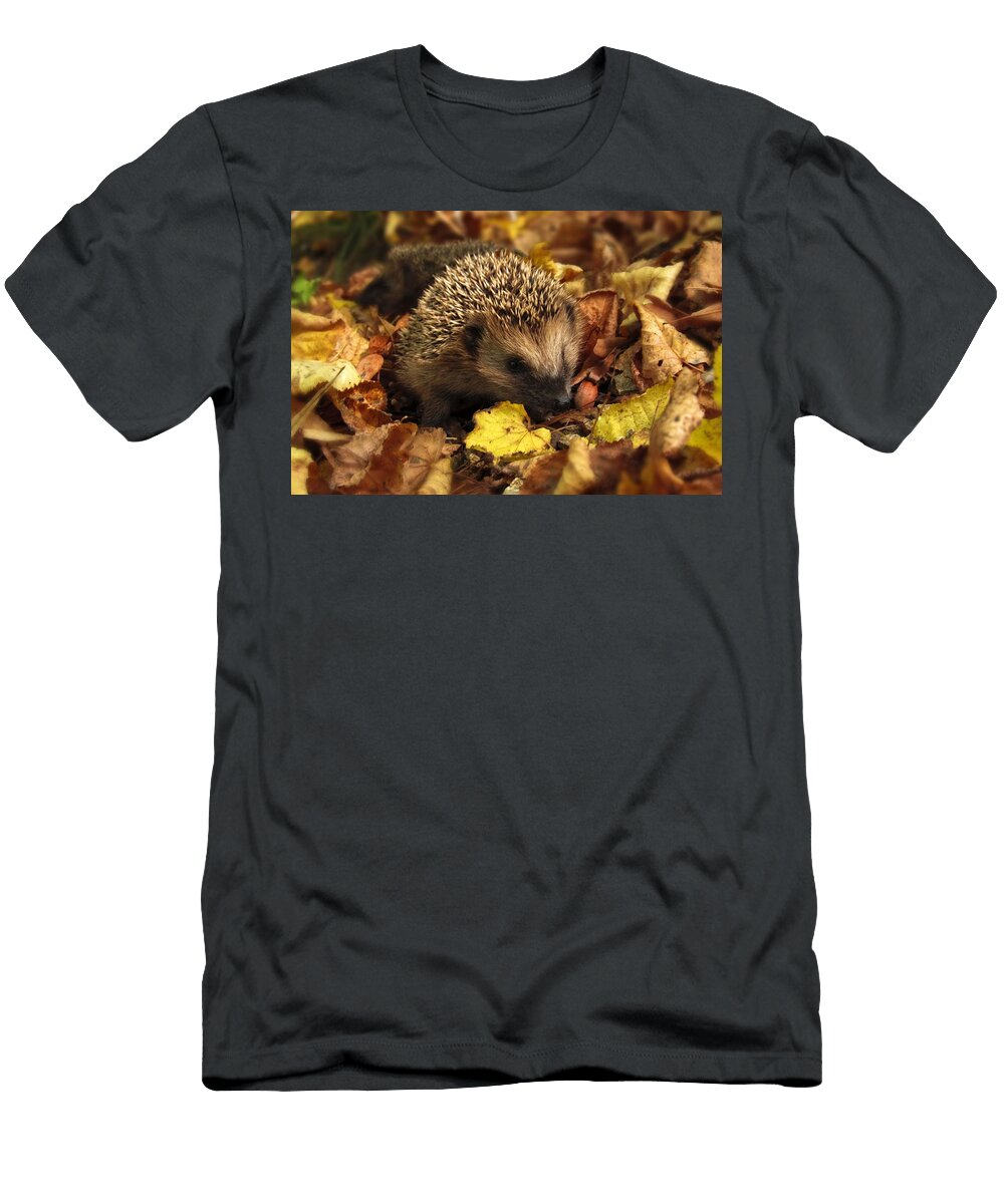 Hedgehog in Golden Leaves Les Classics T-Shirt