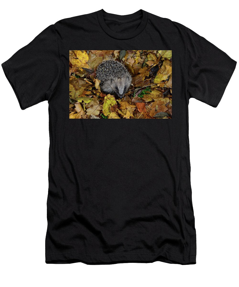 Hedgehog Juvenile Hedgehog in Autumn Leaf Litter Dorset Colin Varndell Natureplcom T-Shirt