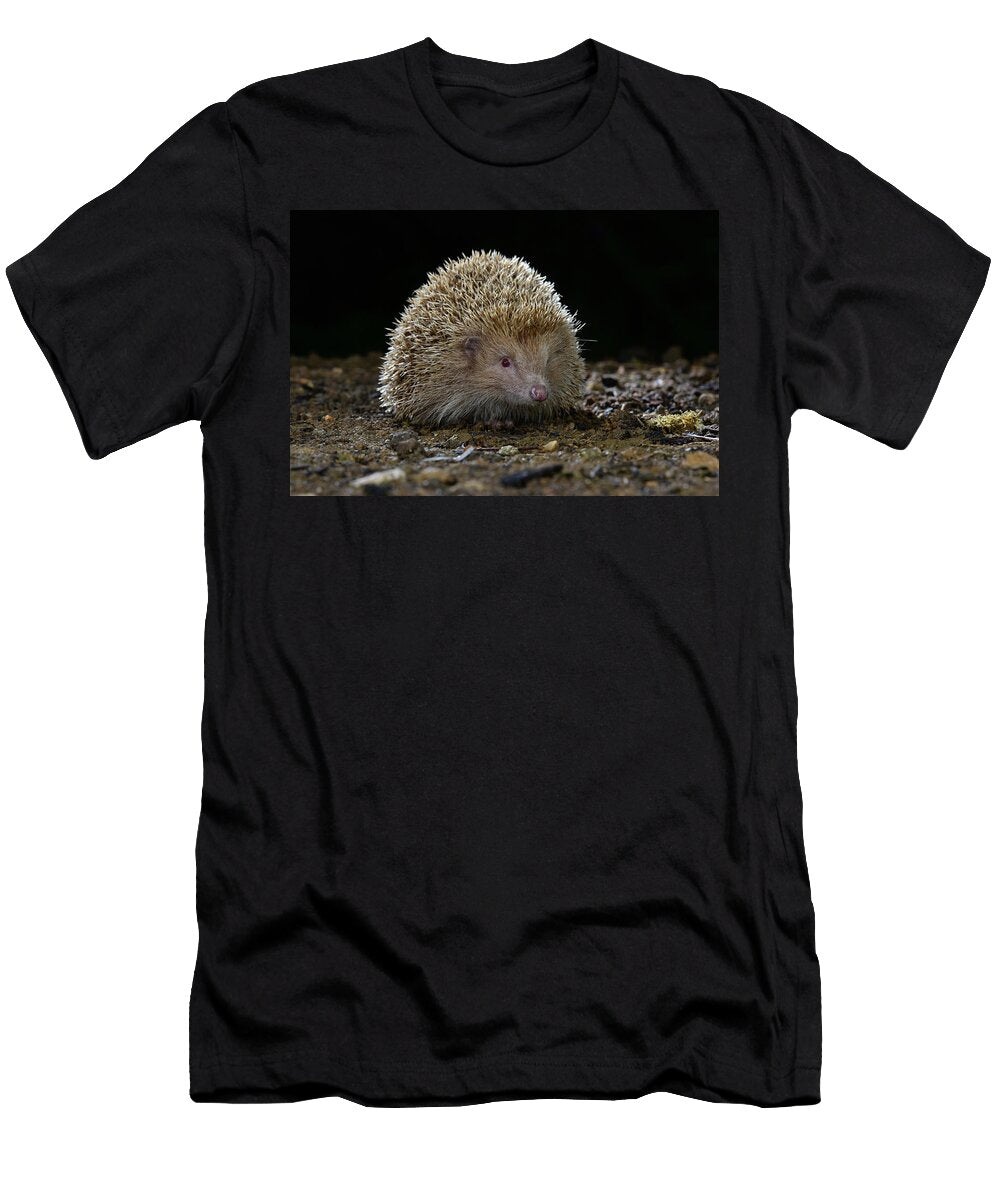 Hedgehog Leucistic Portrait Dorset UK June Colin Varndell Natureplcom T-Shirt