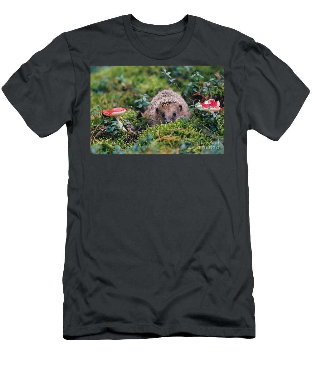 Hedgehog Russia Art Wolfe T-Shirt