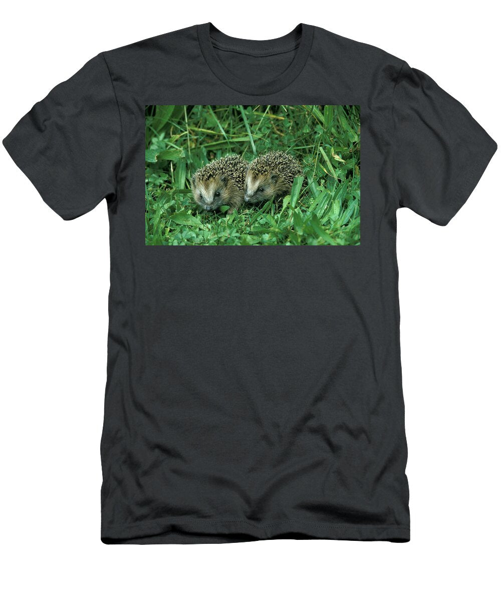 Hedgehogs Animal Images T-Shirt
