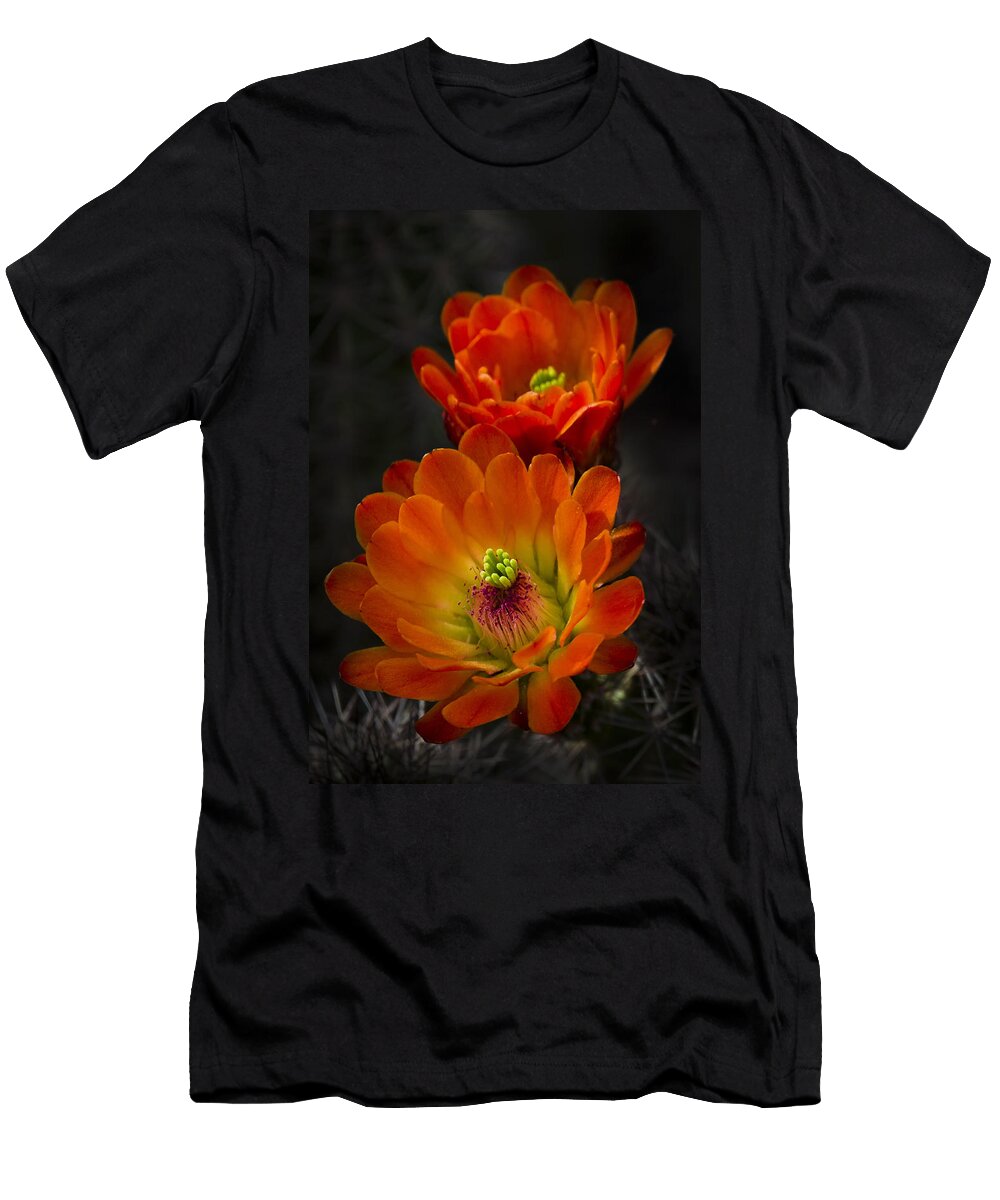 Hedgehogs in the Morning Light Saija Lehtonen T-Shirt