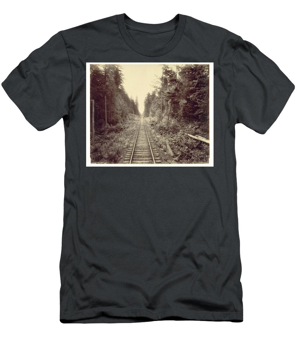 Hemlock Forest Lehigh Valley Railroad C 1895 William H Rau Motionage Designs T-Shirt