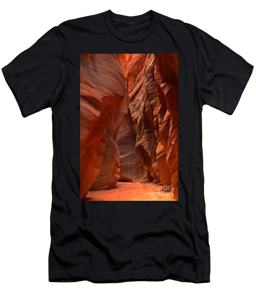 Hidden Hike Adam Jewell T-Shirt
