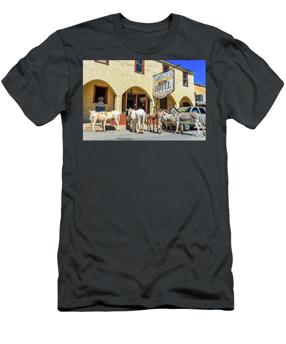 Historic Hotel in Arizona Miroslav Liska T-Shirt