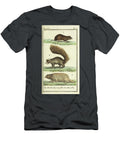 Historic Zoological Illustration of Bobak Coquallin and Hamster Ar1 Historic Illustrations T-Shirt
