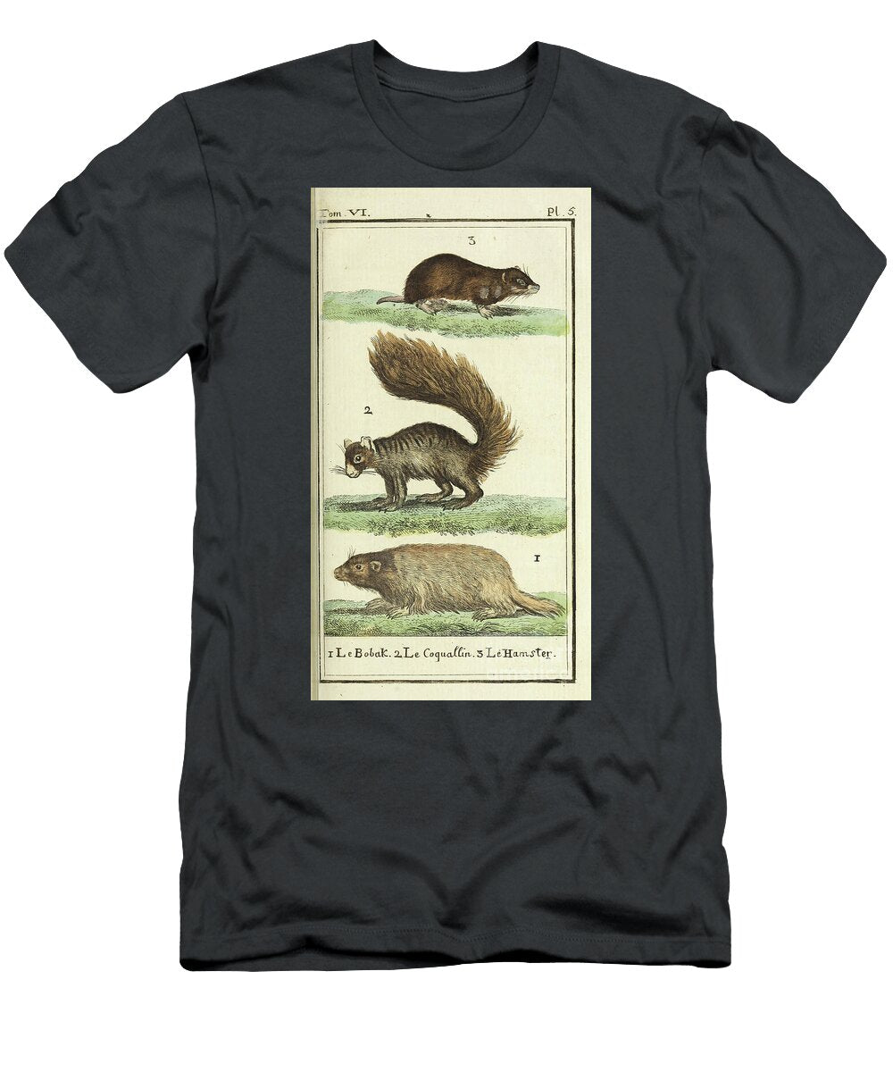 Historic Zoological Illustration of Bobak Coquallin and Hamster Ar1 Historic Illustrations T-Shirt