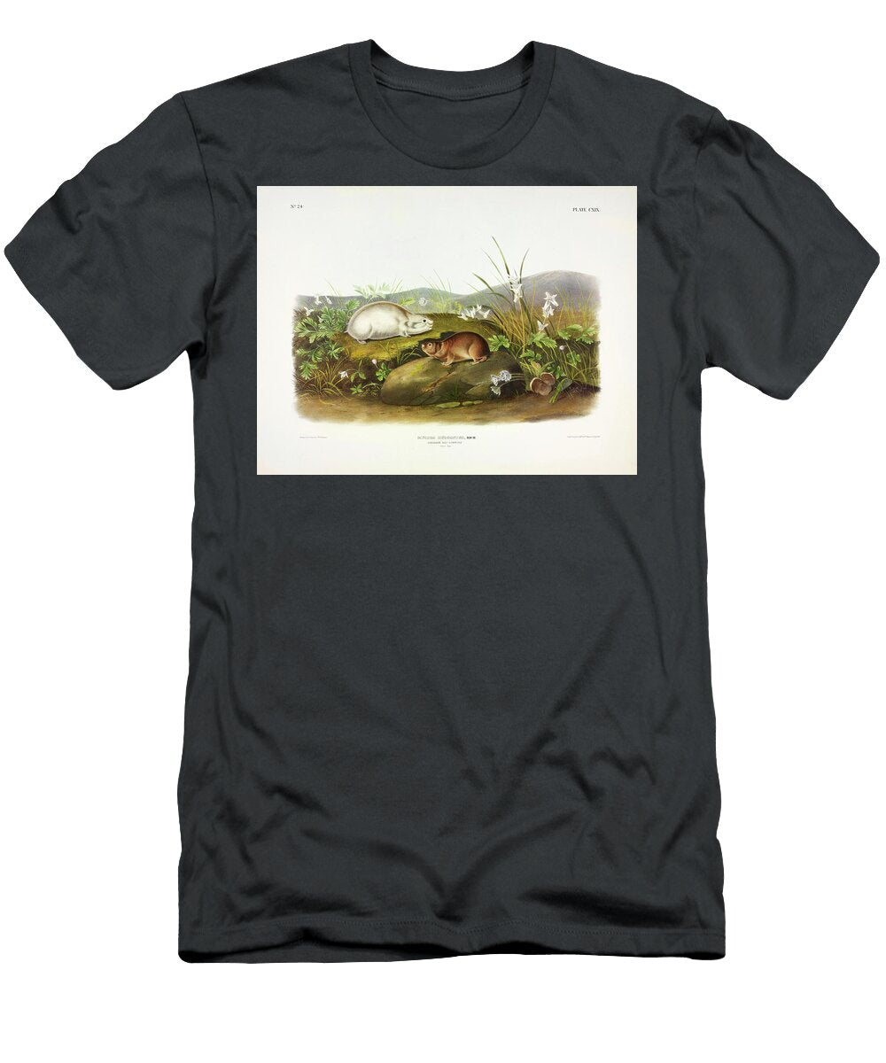 Hudsons Bay Lemming John James Audubon T-Shirt