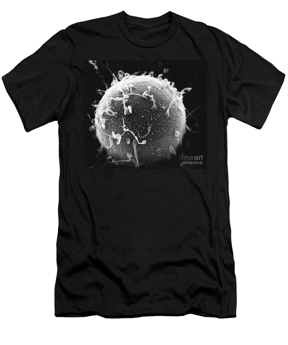 Human Sperm and Hamster Egg Sem David M Phillips T-Shirt