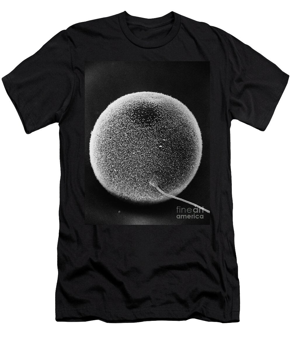 Human Sperm Fertilizing Hamster Egg Sem David M Phillips the Population Council T-Shirt