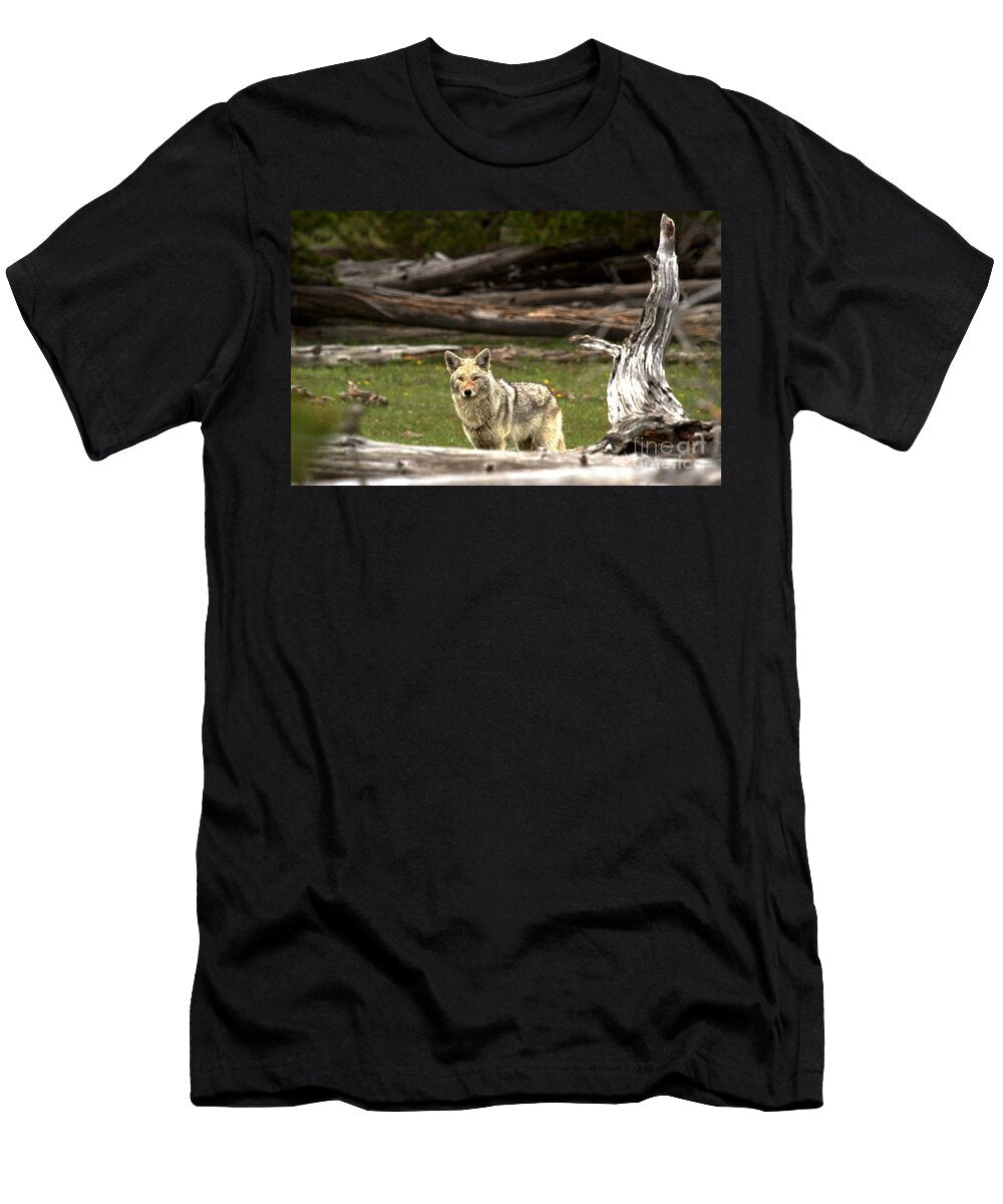 Hunting Among the Fallen Logs Adam Jewell T-Shirt