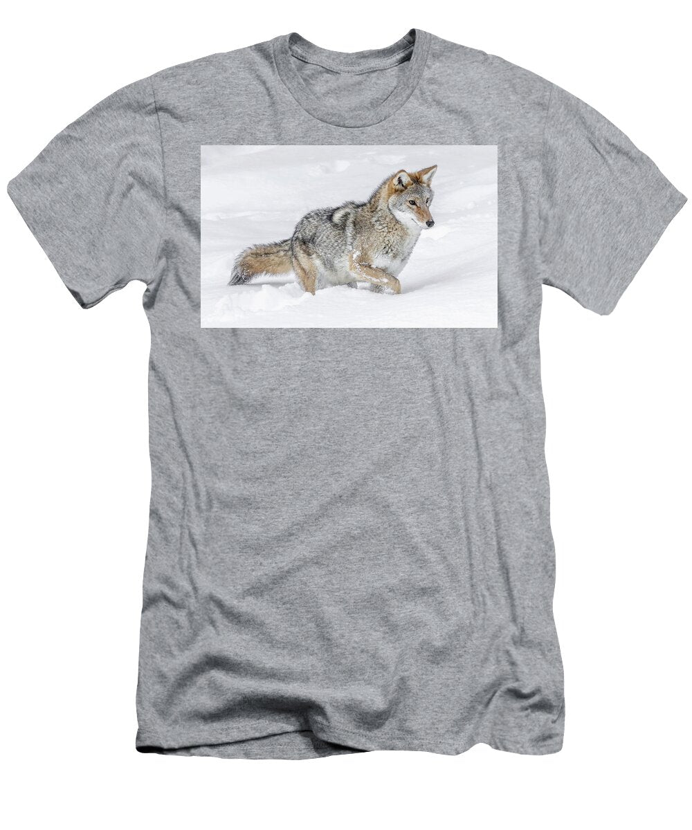 Hunting Coyote Athena Mckinzie T-Shirt