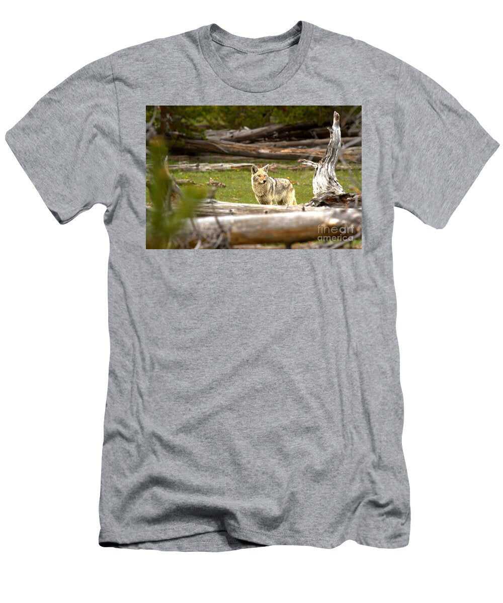 Hunting in the Among the Fallen Trees Adam Jewell T-Shirt