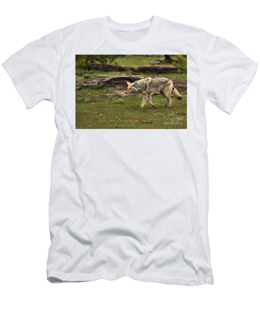 Hunting in the Madison Area Adam Jewell T-Shirt