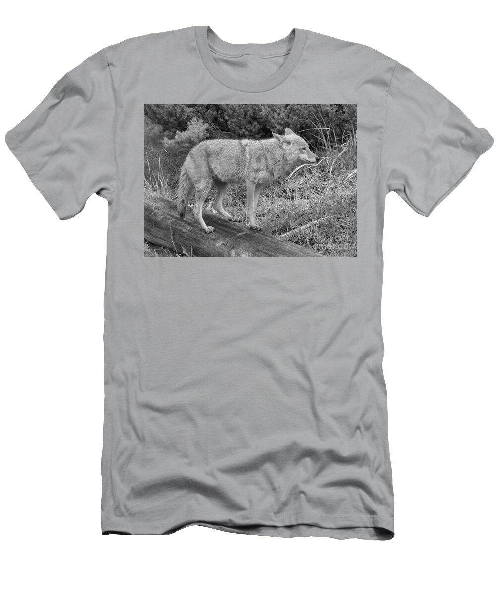 Hunting with Ears Back Black and White Adam Jewell T-Shirt