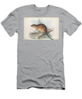 Hydromys Fulvolavatus C3 Historic Illustrations T-Shirt