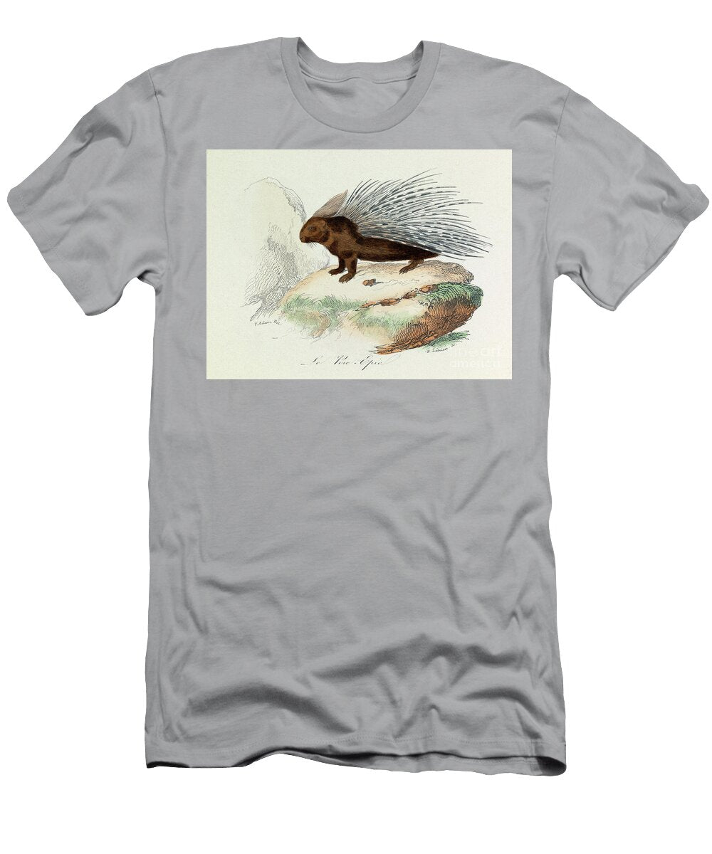 Illustration From the Book Complete Works of Buffon Les Quadrupedes Le Pork Epic Engraving Unknown Artist T-Shirt