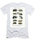 Insectivorous Mammals 1851 Lithography C Roth T-Shirt