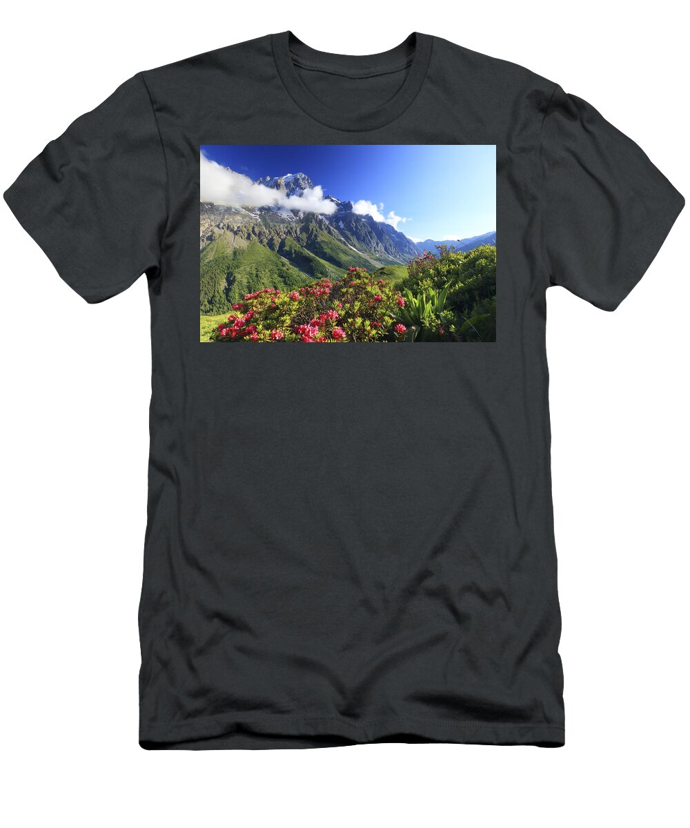 Italy Aosta Valley Aosta District Alps Courmayeur Val Ferret Blooming Rhododendron on the Slopes of Mont De LA Saxe Grandes Jorasses in the Mont Blanc Group Davide Carlo Cenadelli T-Shirt