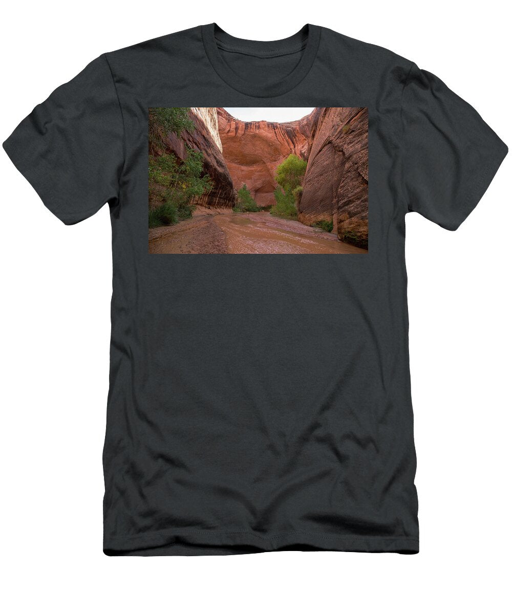 Jacob Hamblin Arch Kunal Mehra T-Shirt