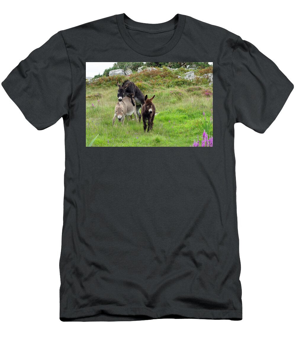 Jenny Female Donkey Mounting an Adult Donkey with Foal in Konrad Wothe Natureplcom T-Shirt