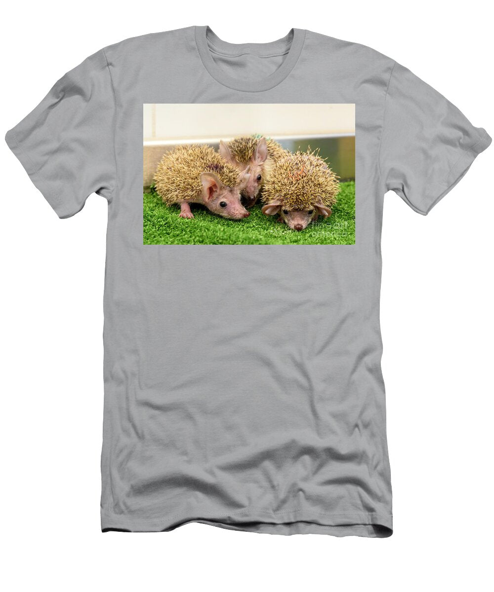 Juvenile Orphaned Southern White Breasted Hedgehogs Aj2 Ilan Rosen T-Shirt
