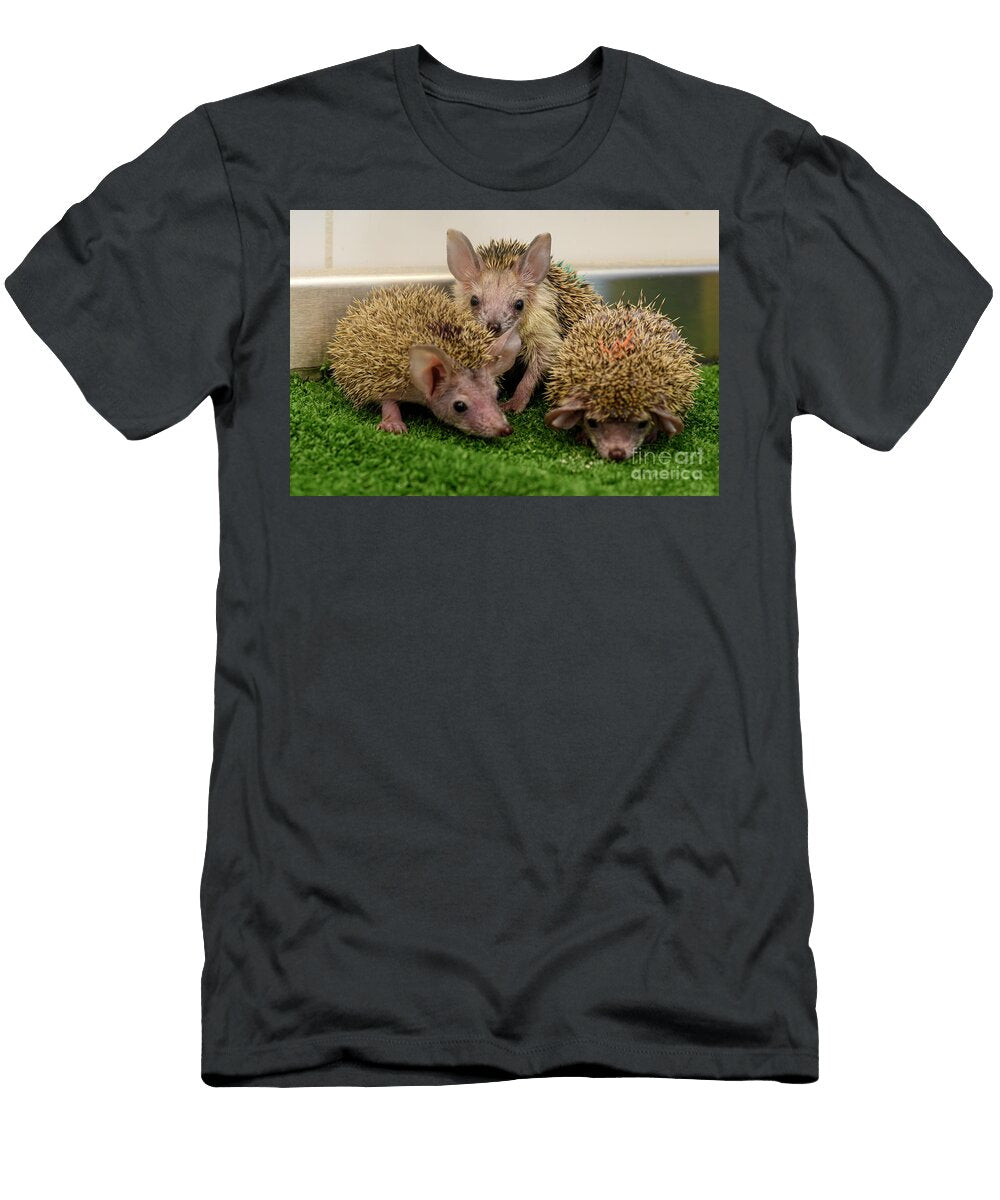 Juvenile Orphaned Southern White Breasted Hedgehogs Aj4 Ilan Rosen T-Shirt