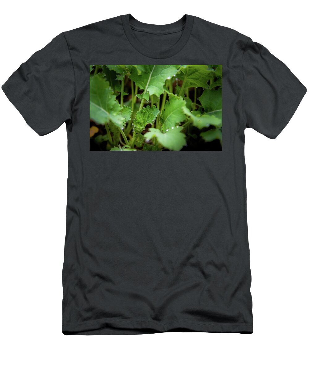 Kale with Dew Greg Mimbs T-Shirt