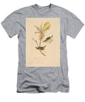 Kentucky Flycatching Warbler S Art John Woodhouse Audubon American T-Shirt