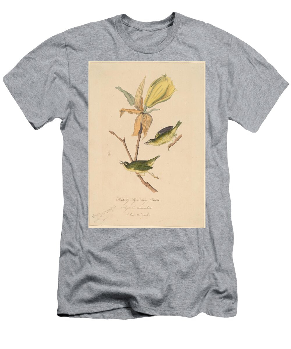 Kentucky Flycatching Warbler S Art John Woodhouse Audubon American T-Shirt