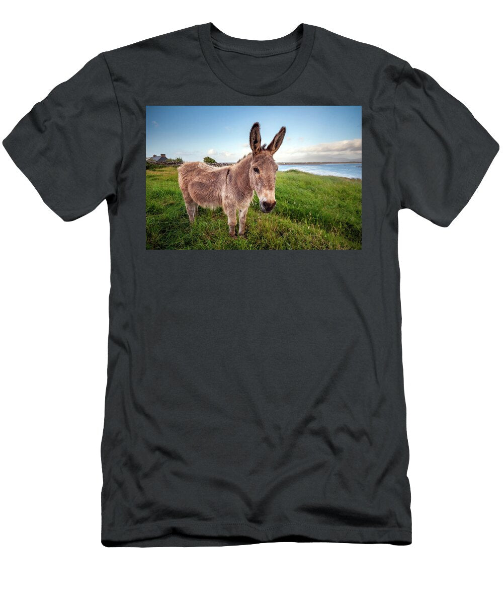 Kerry Donkey Ireland Pierre Leclerc Photography T-Shirt