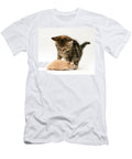 Kitten Inspecting Hamster Jane Burton T-Shirt