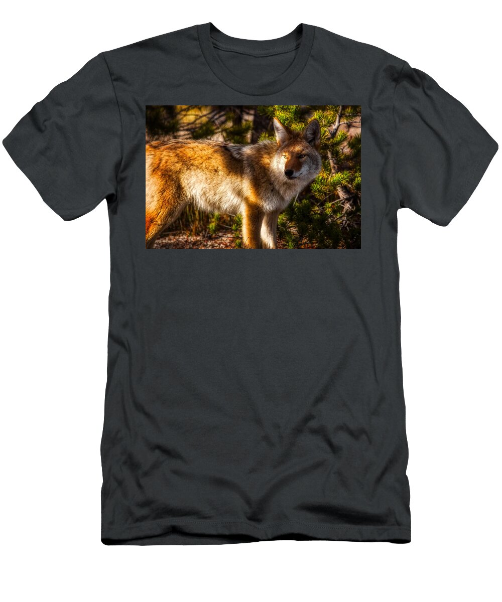 Land of the Coyote N P S Neal Herbert T-Shirt