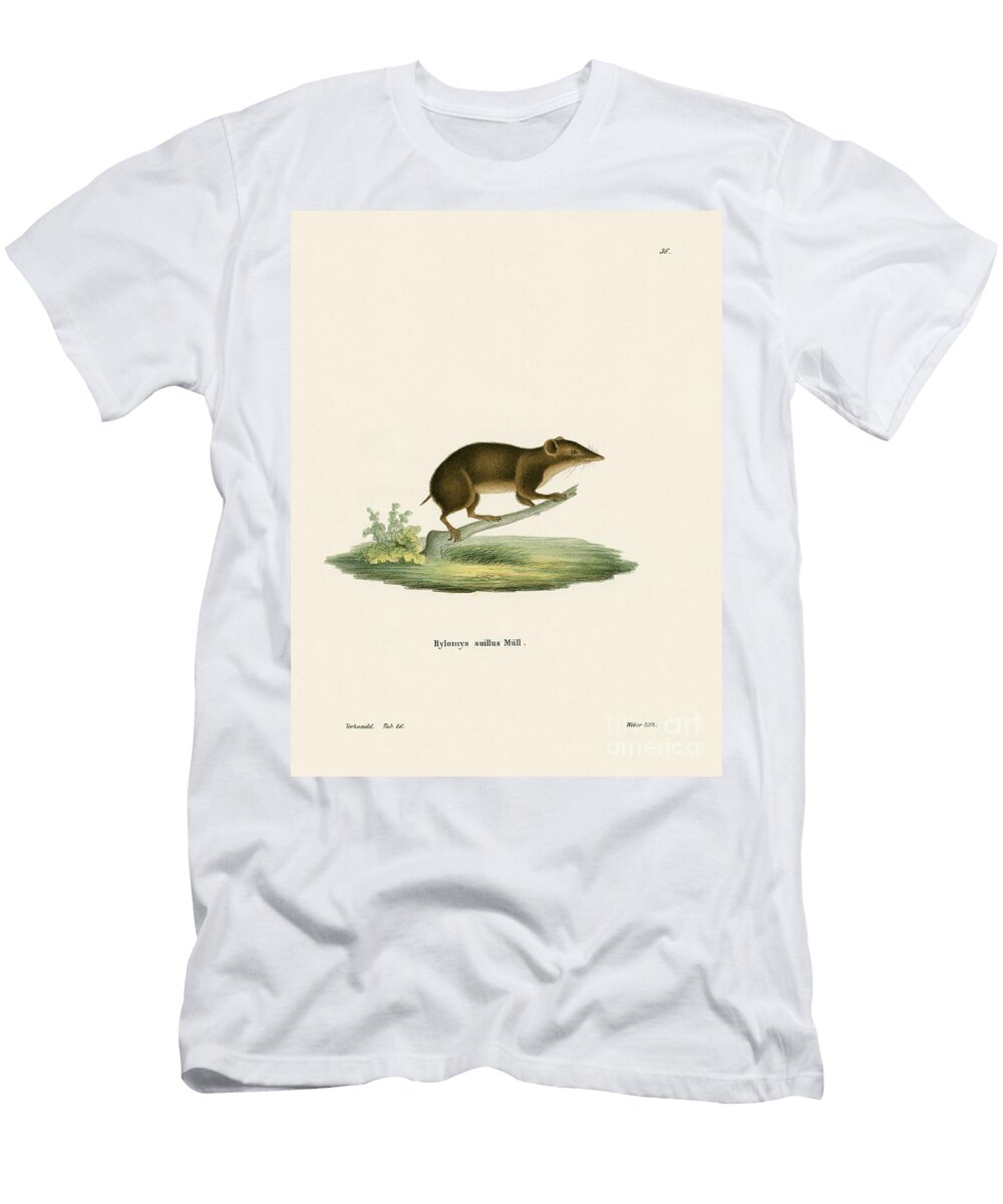 Lesser Gymnure German School T-Shirt