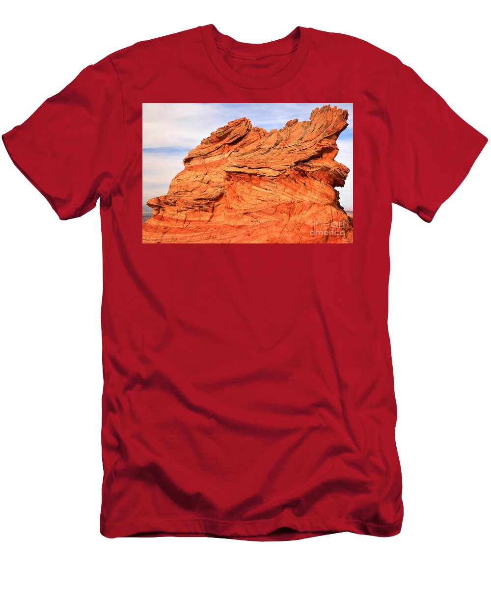 Lion in the Cliff Adam Jewell T-Shirt