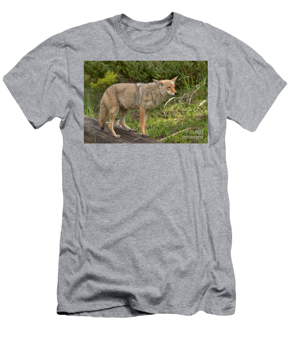 Listening Intently Adam Jewell T-Shirt