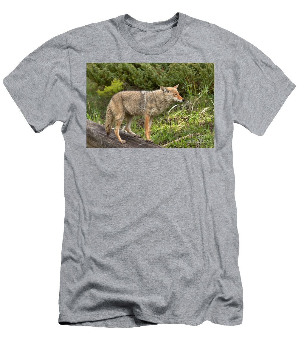 Listening Intently Closeup Adam Jewell T-Shirt