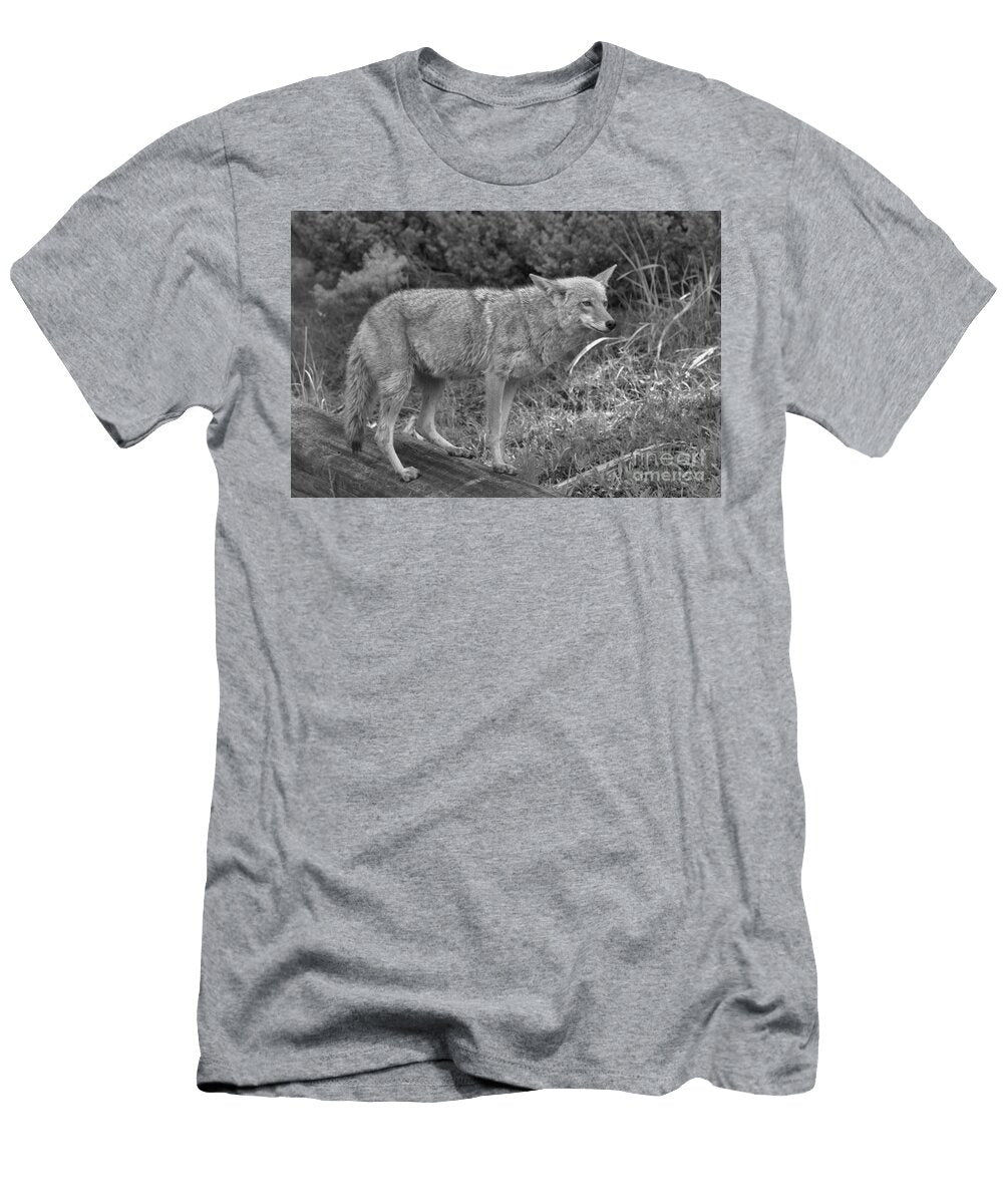 Listening Intently Closeup Black and White Adam Jewell T-Shirt