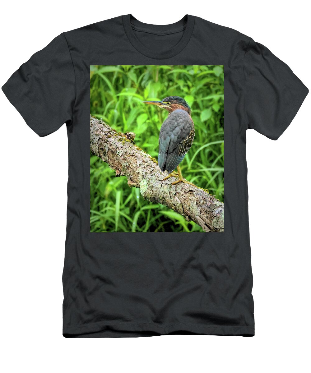 Listening to the Canal Dennis Lundell T-Shirt
