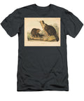 Lithograph Castor Fiber Americanus Linn American Beaver John James Audubon John T Bowen T-Shirt