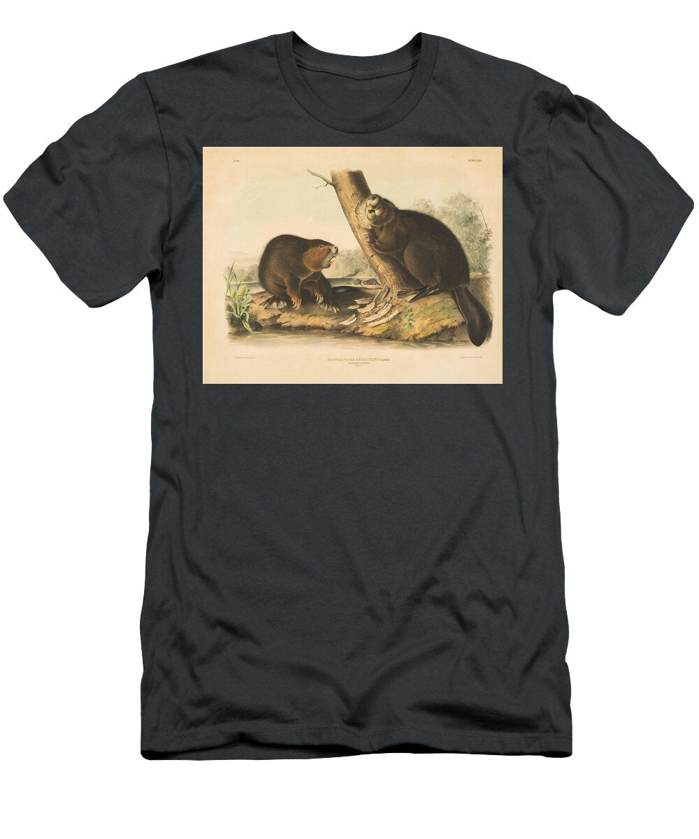 Lithograph Castor Fiber Americanus Linn American Beaver John James Audubon John T Bowen T-Shirt