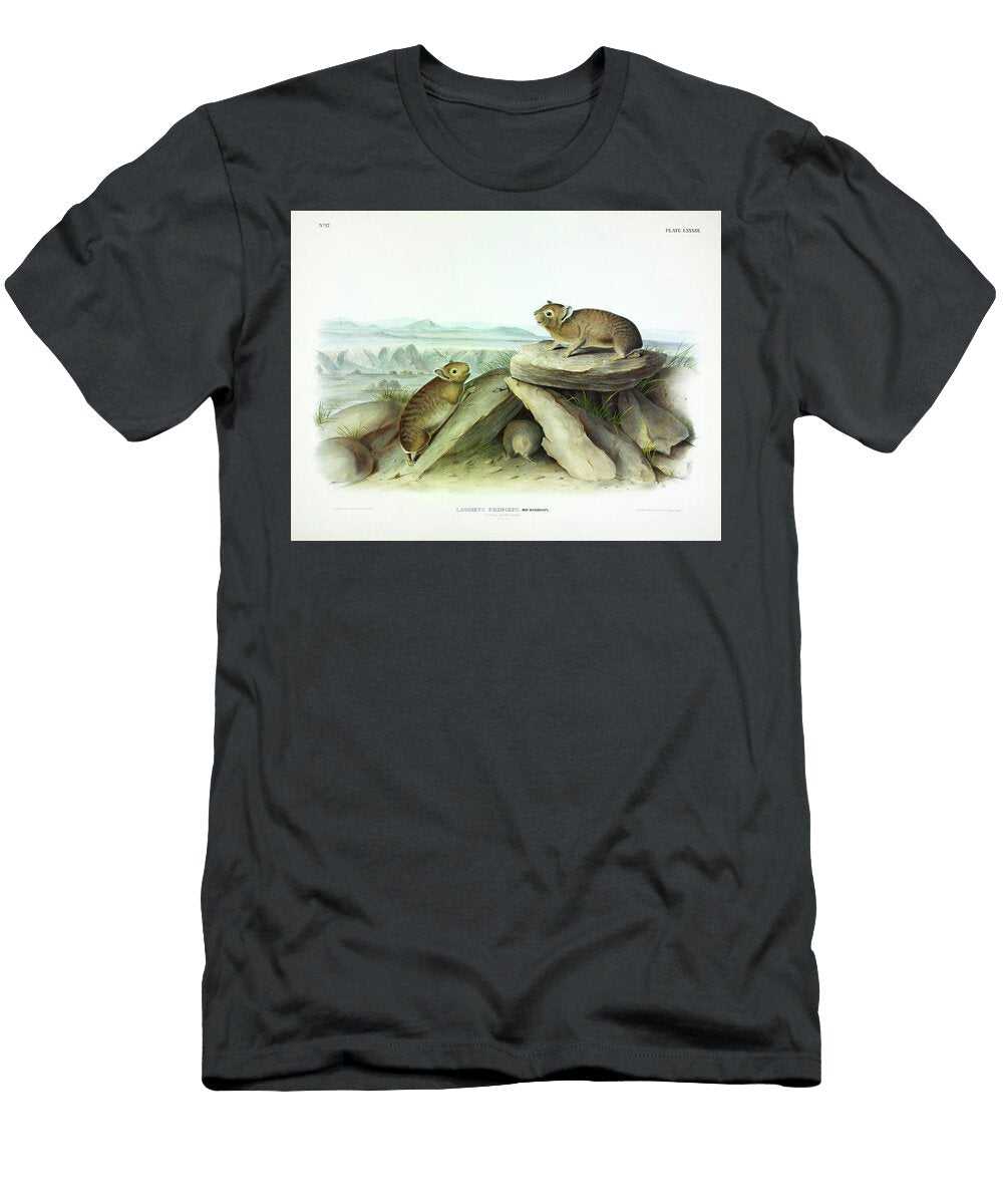 Little Chief Hare John James Audubon T-Shirt